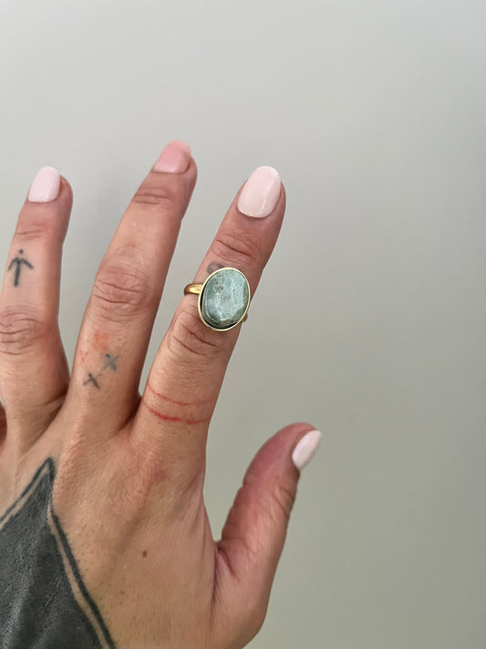 Pounamu X Kōura - Rīngi Teina