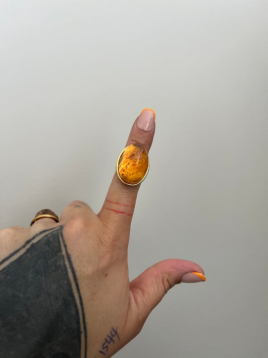 Kāpia X Kōura - Rīngi